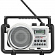 Настольный радиоприемник PerfectPro USB Box 2